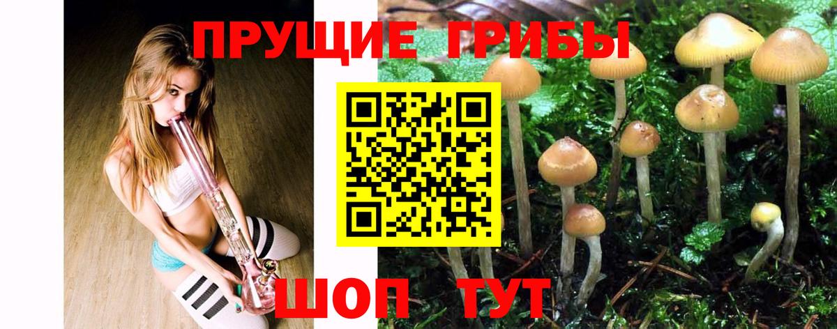 Боровичи  Псилоцибиновые грибы Cubensis  Псилоцибиновые грибы Magic Shrooms  где купить наркоту  Вход с VPN 